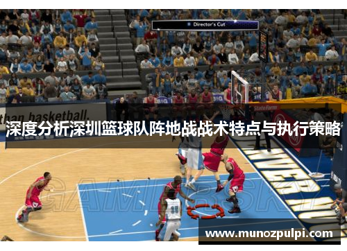 深度分析深圳篮球队阵地战战术特点与执行策略