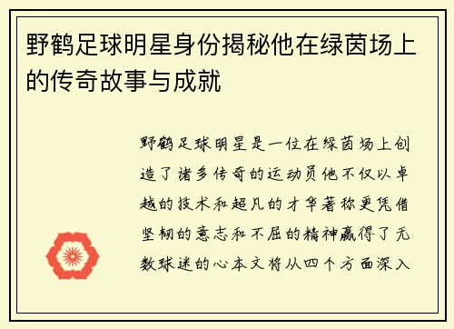 野鹤足球明星身份揭秘他在绿茵场上的传奇故事与成就
